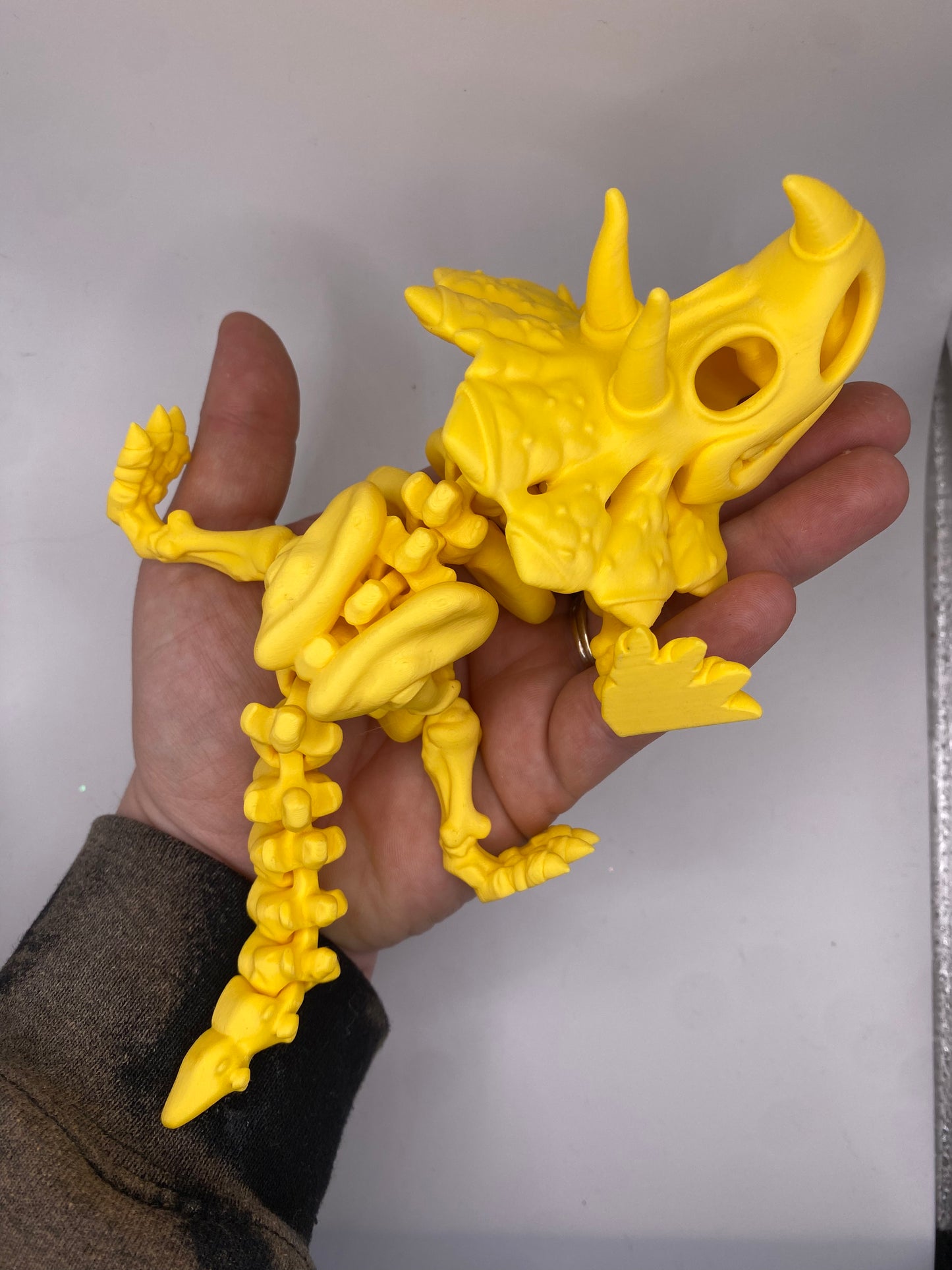 Triceratops Skeleton (Custom Color)