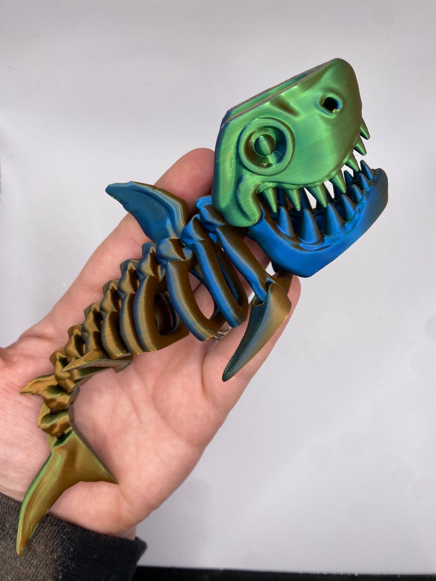 Shark Skeleton (Custom Color)