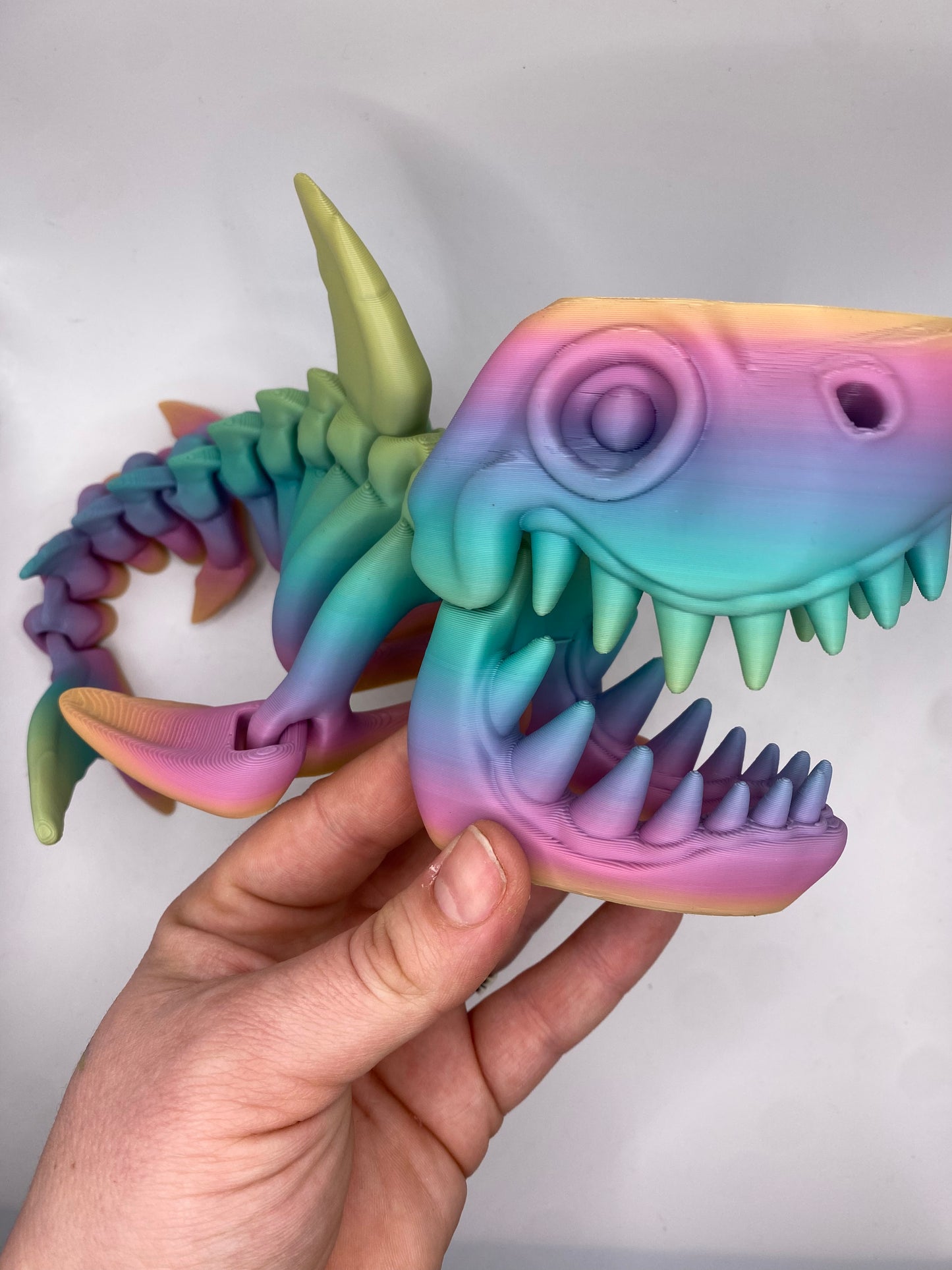 Shark Skeleton (Custom Color)