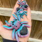 Heart Spider Coral/Teal Black