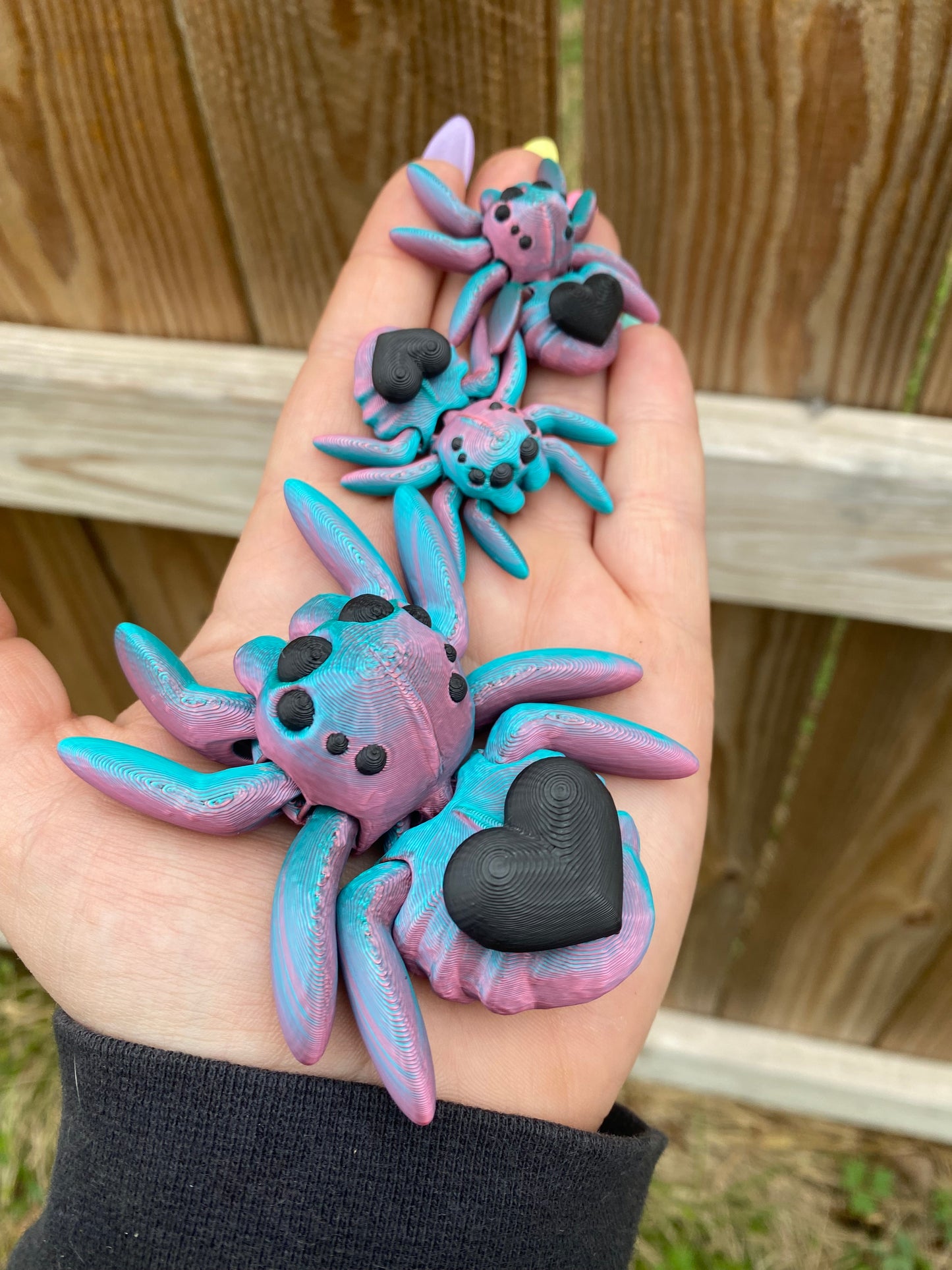 Heart Spider Coral/Teal Black