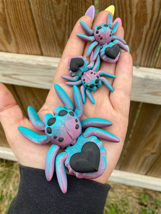 Heart Spider Coral/Teal Black