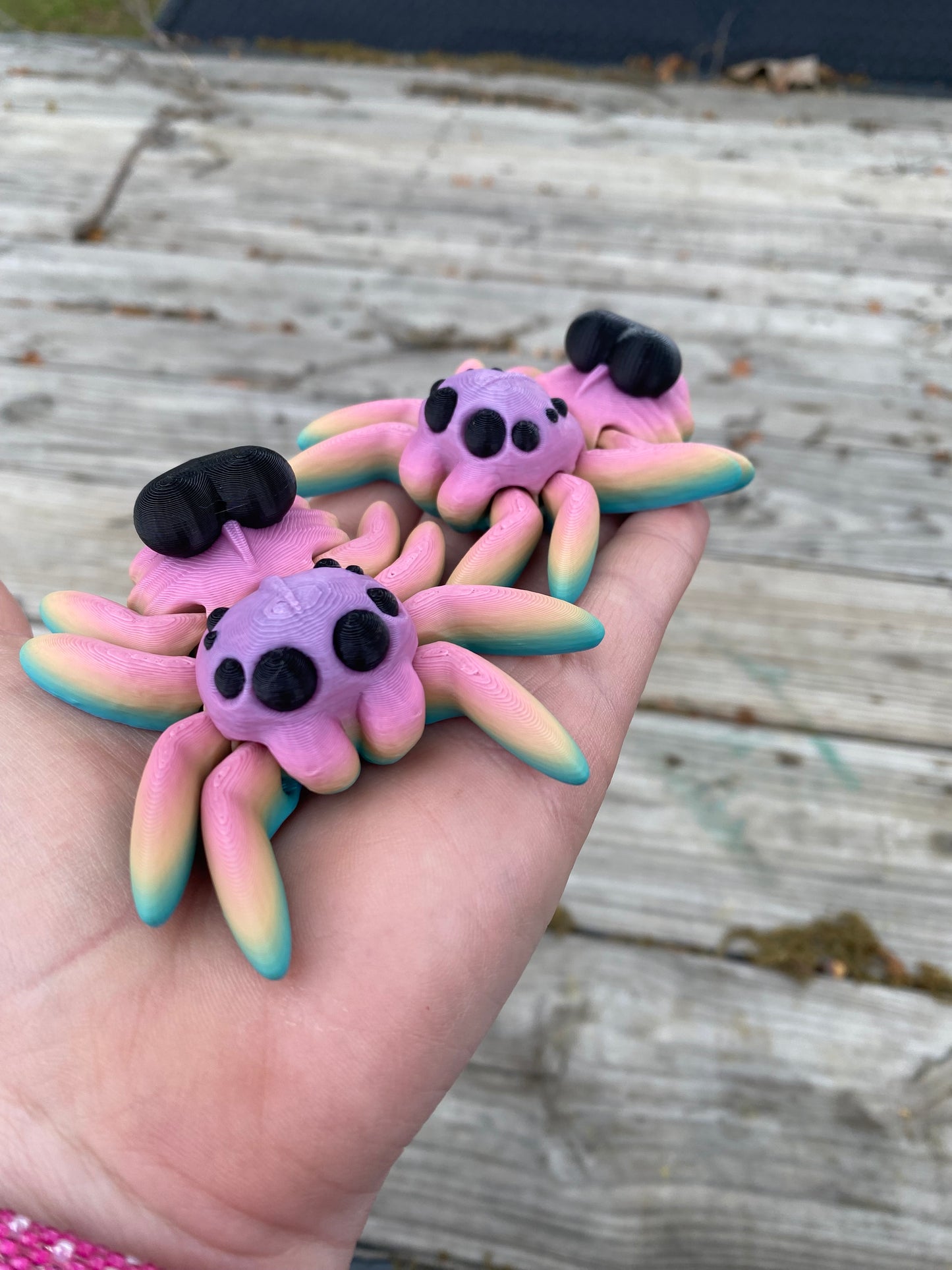 Rainbow Heart Spider Medium