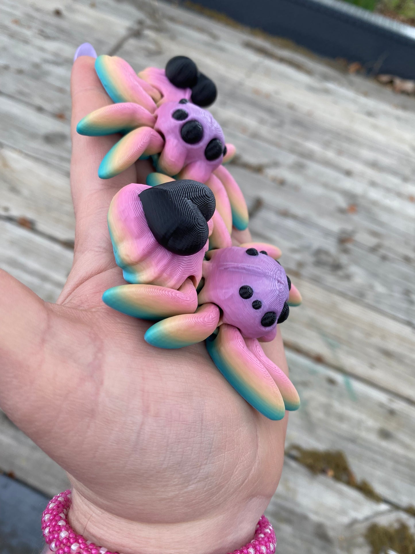 Rainbow Heart Spider Medium